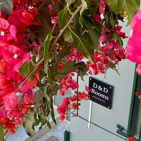 Апартаменты D&d *