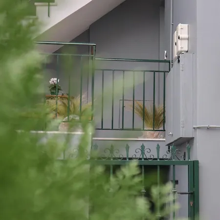 D&d Нафплион