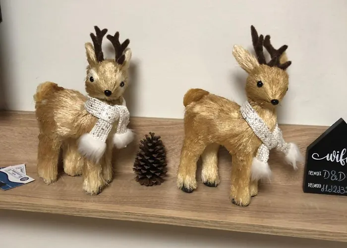 Апартаменты D&d