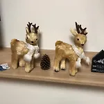 Apartment D&d